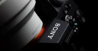 Насколько популярна каждая линейка полнокадровых беззеркальных камер Sony?