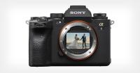 Обзор Sony Alpha 1 для свадебной фотографии