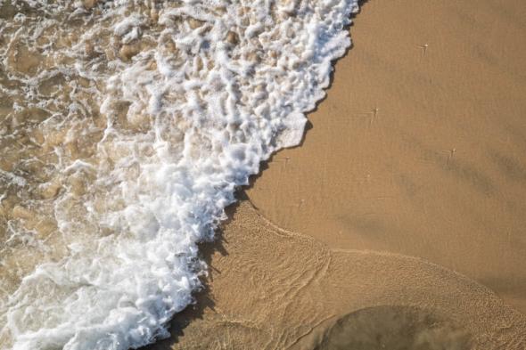 Sigma 65m f2 beach shot