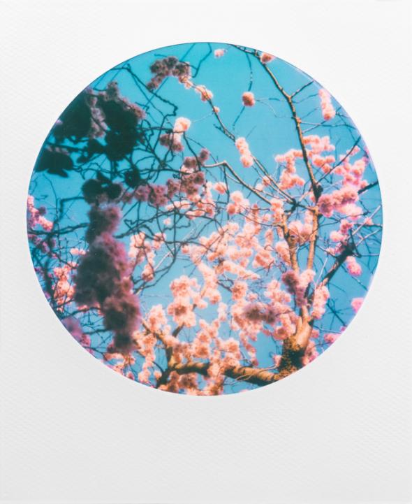 600 Color RoundWhiteFrame Eli Beristain @eli