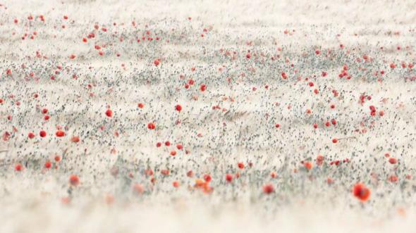 K4 2 stefan schubert red dots