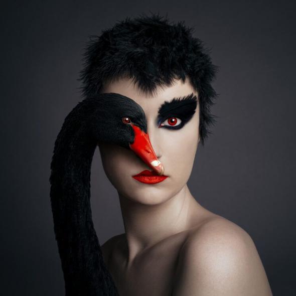 blackswan