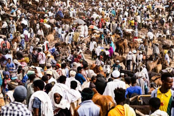 Lalibela Saturday Market 745x497