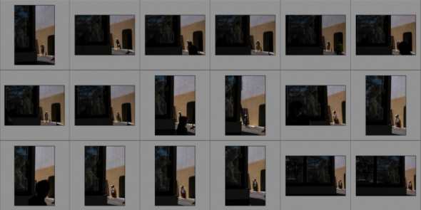 Lightroom Grid Cull 745x373