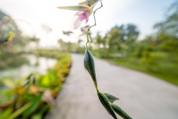 Laowa 14mm f4 by Andy Chua