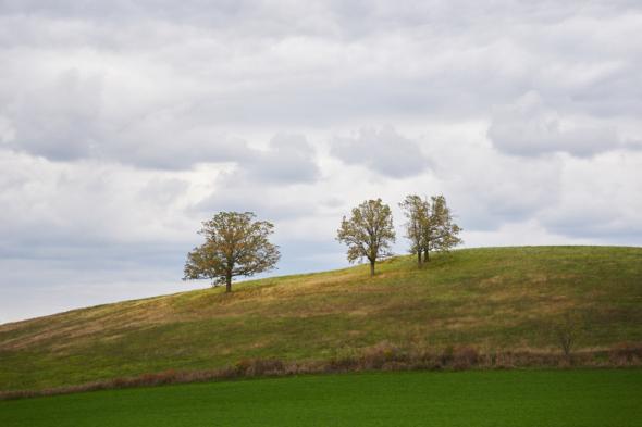 sigma 18 50mm f2 8 lens sample 1