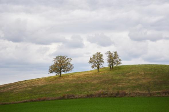 sigma 18 50mm f2 8 lens sample 1