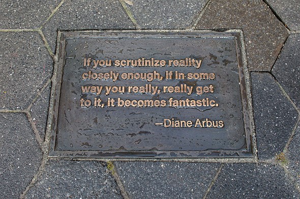 diane arbus statue plaque