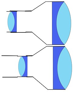 Chevaliercobinique