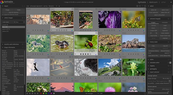 darktable screenshot version 3.1.0